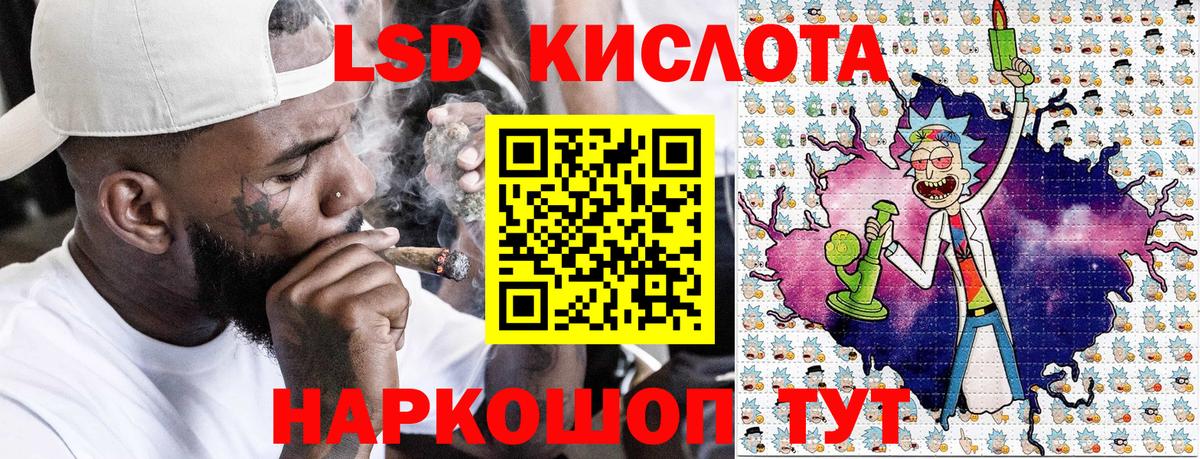 Галлюциногенные грибы Вязьма
