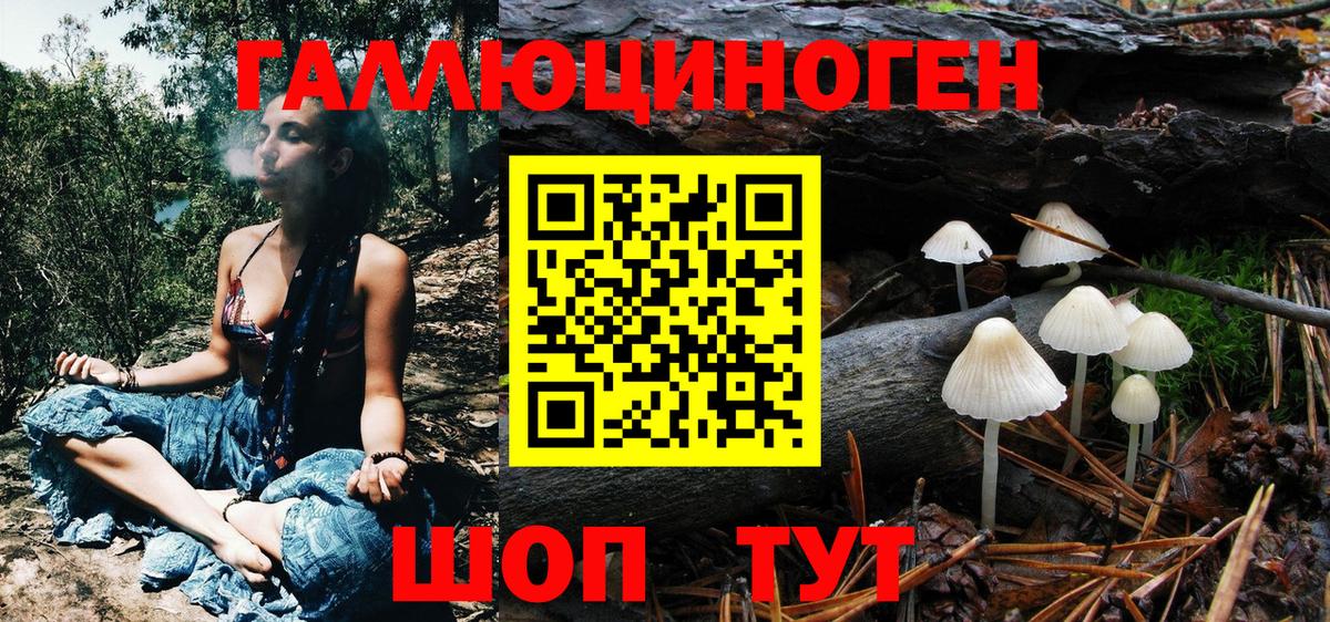 Псилоцибиновые грибы Psilocybe  Псилоцибиновые грибы Psilocybine cubensis  Вязьма  Вход с VPN 