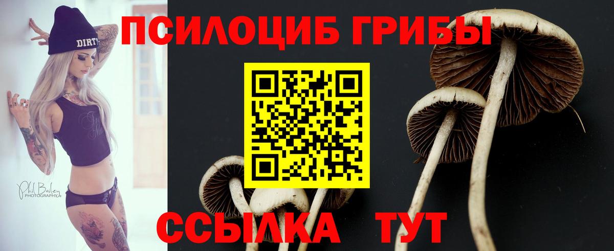 Галлюциногенные грибы GOLDEN TEACHER Вязьма